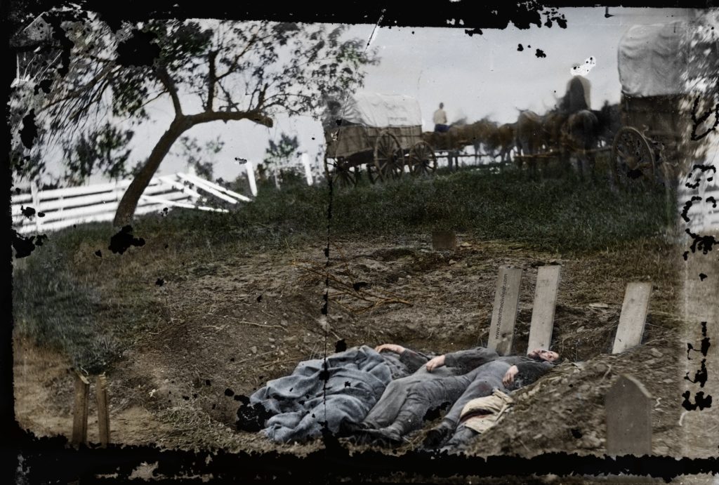 Rose Farm Dead Colorized