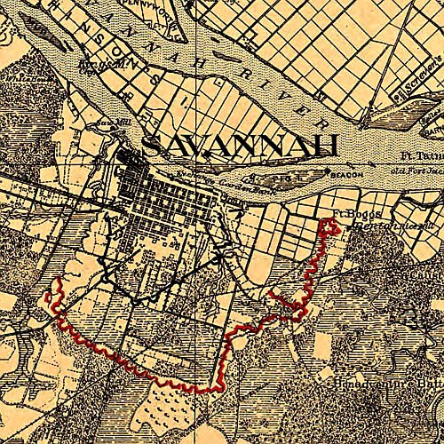 savannah