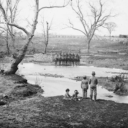 Federal cavalry Sudley Springs