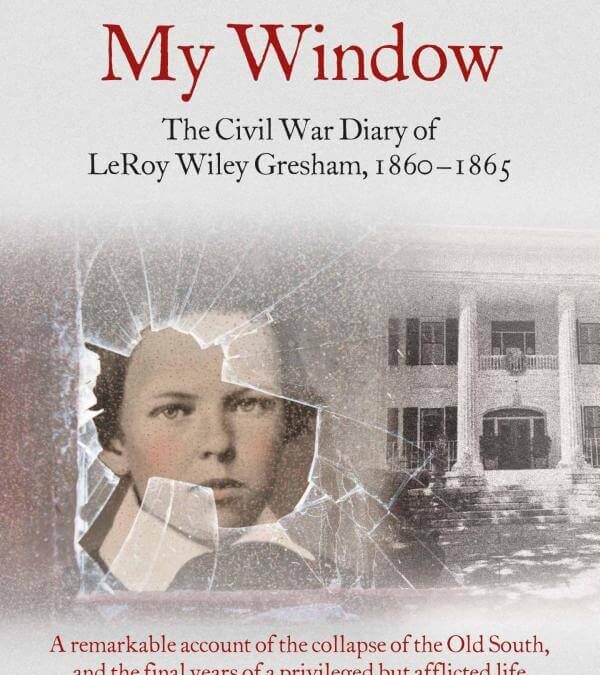 Book Review: The War Outside My Window